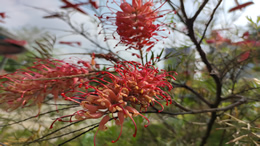 受台风影响，海口美兰国际机场执飞的进出港航班全部取消